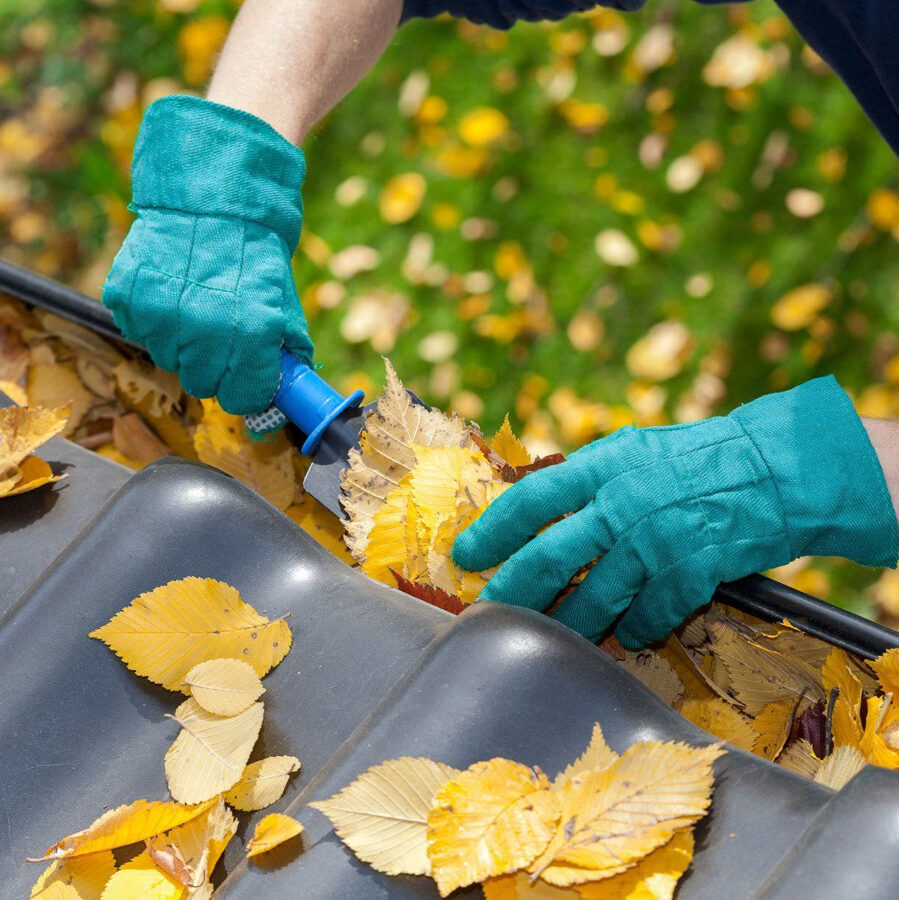 Gutter Guards & Cleaning